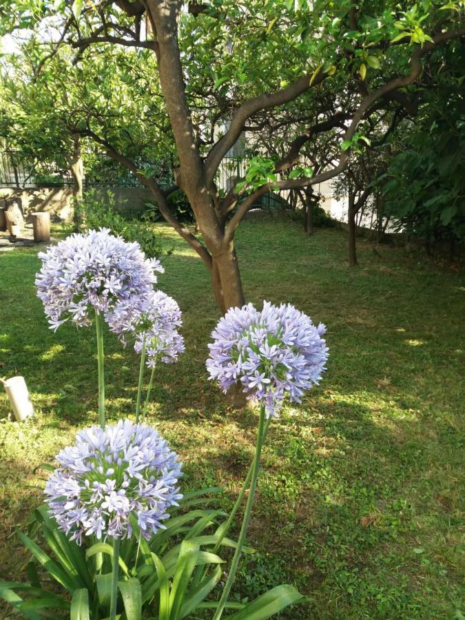 Vila Skala Herceg Novi Exteriér fotografie